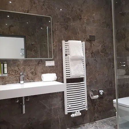 Hotel Rheincity & Boardinghouse 3*