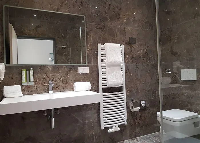 Hotel Rheincity & Boardinghouse 4*